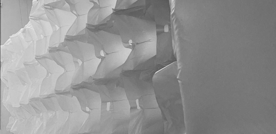 amaryllis switch – what if bacteria will construct a new habitat of our plastic waste